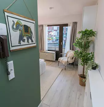 Foto annuncio 5