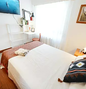Foto annuncio 6