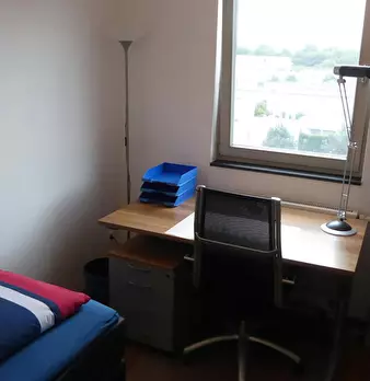 Foto annuncio 9
