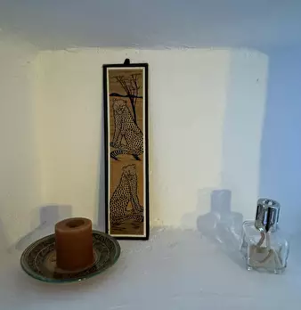Foto annuncio 7