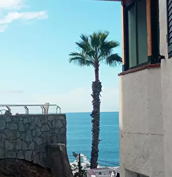 Foto annuncio 9