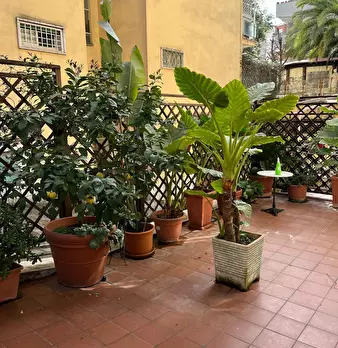 Foto annuncio 10