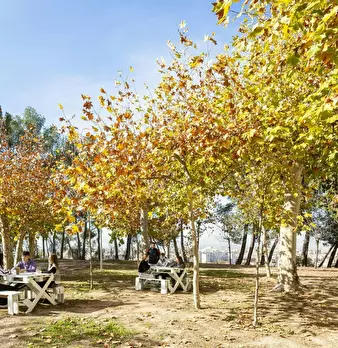 Foto annuncio 6