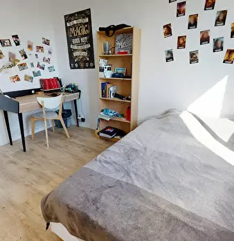 Foto annuncio 3