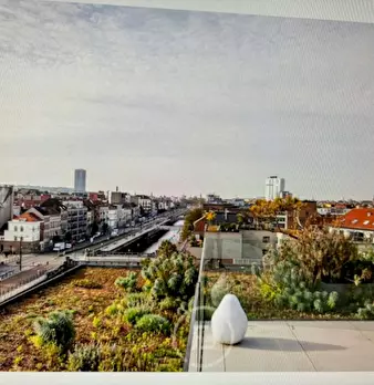 Foto annuncio 2