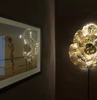 Foto annuncio 10