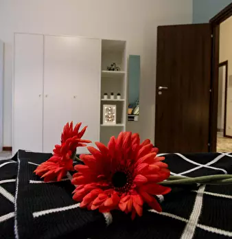 Foto annuncio 5