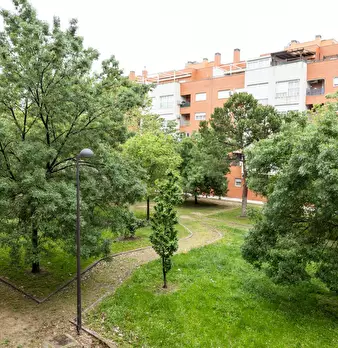 Foto annuncio 5