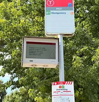 Foto annuncio 10