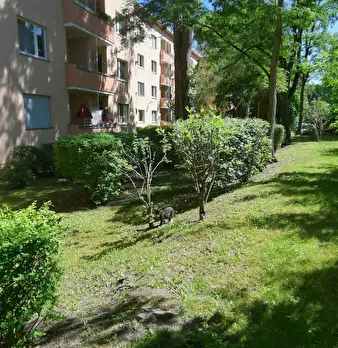 Foto annuncio 9