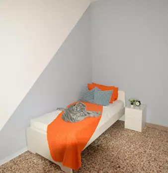 Foto annuncio 4