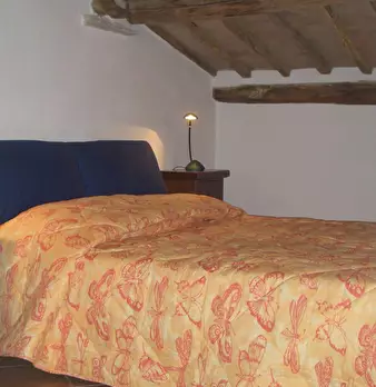 Foto annuncio 10
