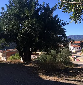 Foto annuncio 6
