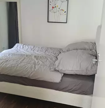 Foto annuncio 10
