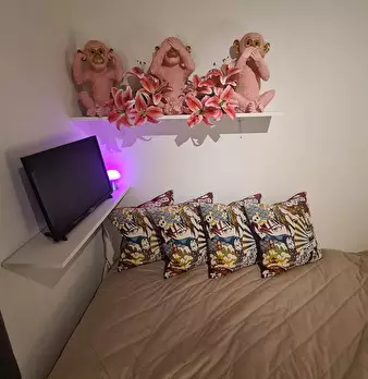 Foto annuncio 8