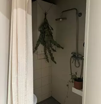 Foto annuncio 9