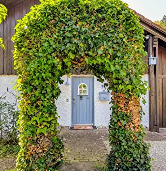 Foto annuncio 4