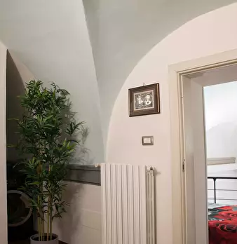 Foto annuncio 10