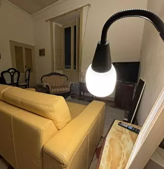 Foto annuncio 9