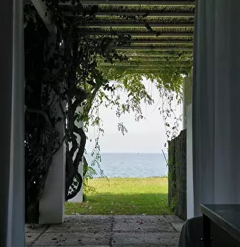 Foto annuncio 1
