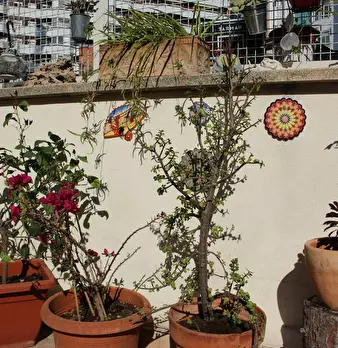Foto annuncio 8