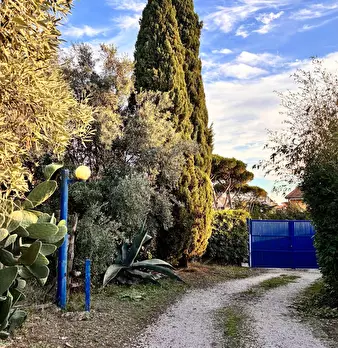 Foto annuncio 9
