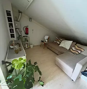 Foto annuncio 8