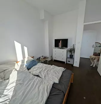 Foto annuncio 10