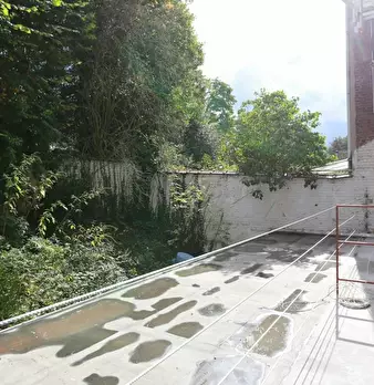 Foto annuncio 6