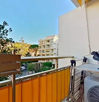 Foto annuncio 10