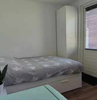 Foto annuncio 5