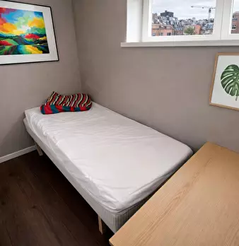 Foto annuncio 1