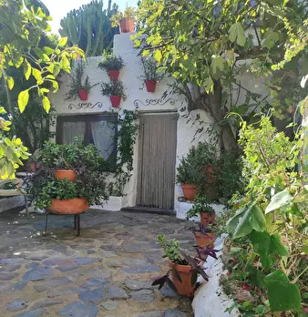 Foto annuncio 2