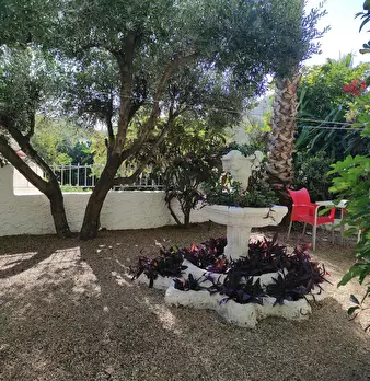 Foto annuncio 1