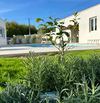 Foto annuncio 6