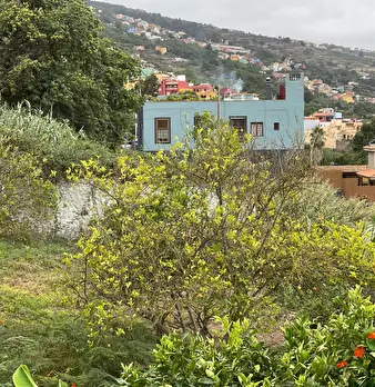 Foto annuncio 9