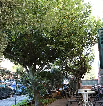 Foto annuncio 6