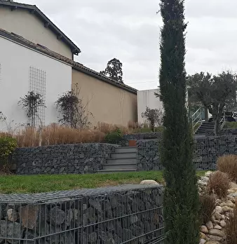 Foto annuncio 10