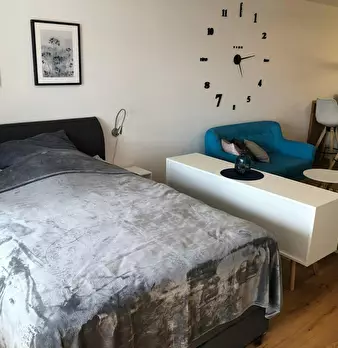 Foto annuncio 6