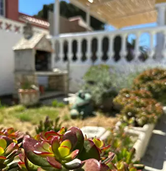 Foto annuncio 9