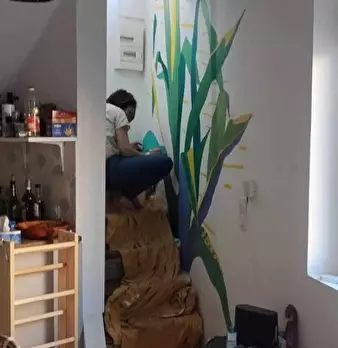 Foto annuncio 10