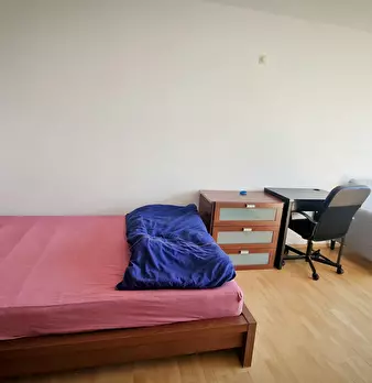 Foto annuncio 5