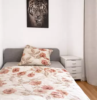 Foto annuncio 1