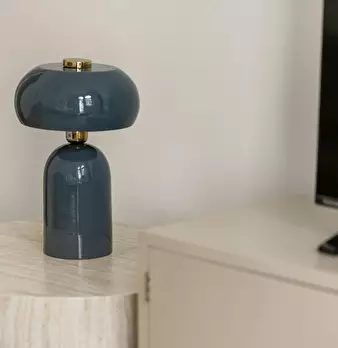 Foto annuncio 7