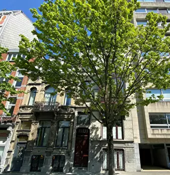 Foto annuncio 7