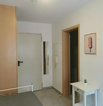 Foto annuncio 6