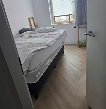 Foto annuncio 1