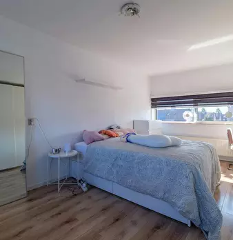 Foto annuncio 7