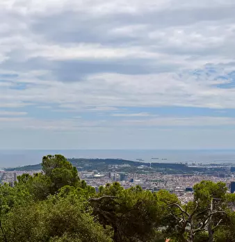 Foto annuncio 2