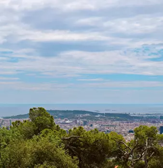 Foto annuncio 1